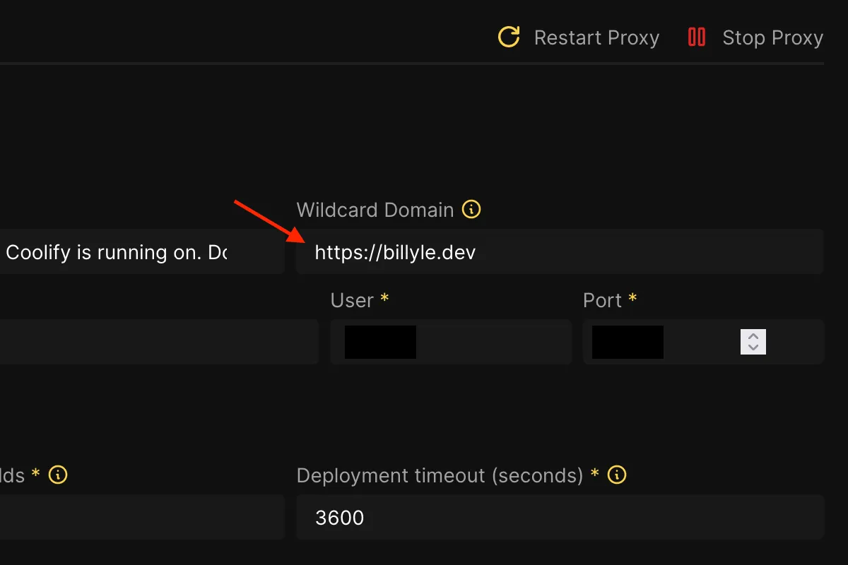 entering wildcard domain url